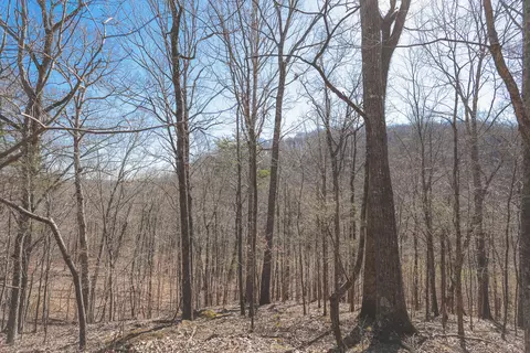 0 Fisher Hollow Rd, Georgetown, TN 37336