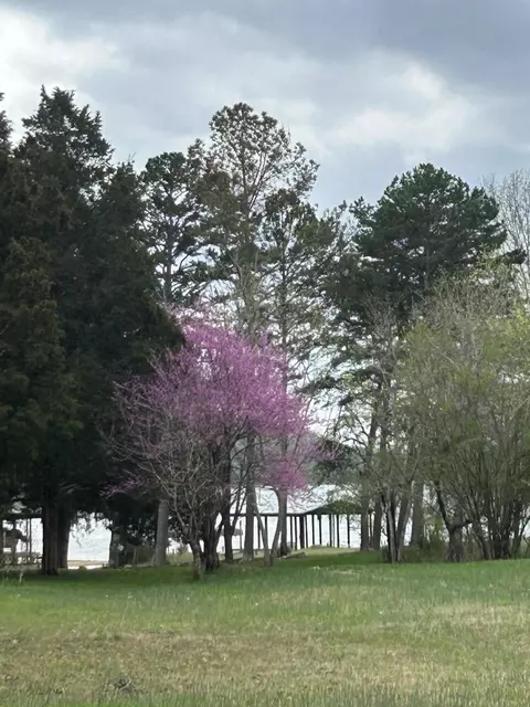 Undisclosed, Spring City, TN 37381