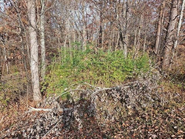 Lts 29/30 Smyrna Heights Drive, Evensville, TN 37332