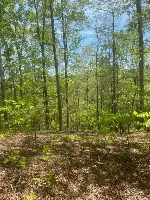 47 County Rd, Riceville, TN 37370