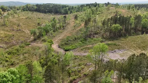 13406 Eldridge Rd #LOT 4, Harrison, TN 37341 photo 7