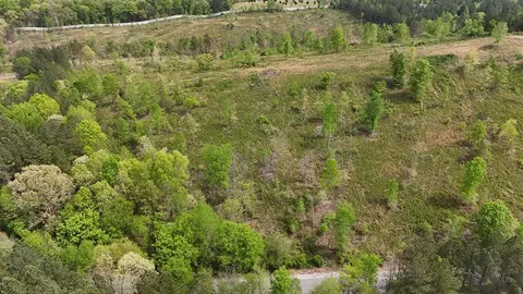 13406 Eldridge Rd #LOT 4, Harrison, TN 37341 photo 9