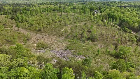 13406 Eldridge Rd #LOT 4, Harrison, TN 37341 photo 12