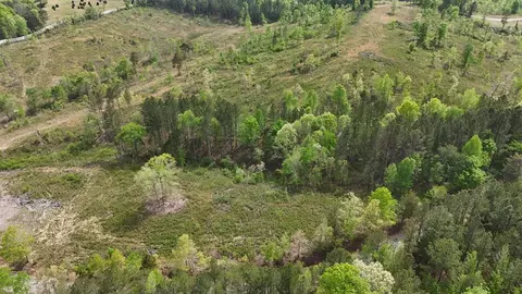 13406 Eldridge Rd #LOT 4, Harrison, TN 37341 photo 8