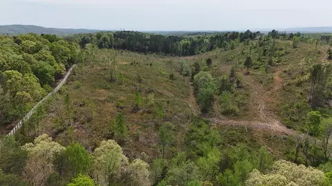 13406 Eldridge Rd #LOT 4, Harrison, TN 37341 photo 5