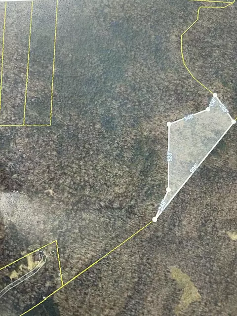 0 Off Of Owl Roost Rd, Dayton, TN 37321