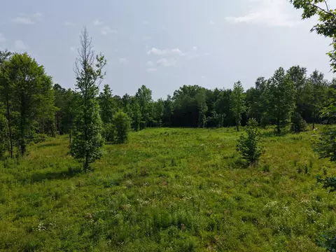 lot17 County Road 545, Englewood, TN 37329