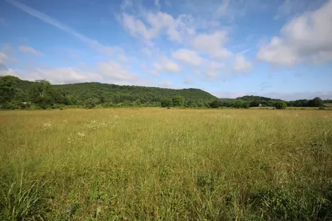 110 Acres Bivens Rd, Tellico Plains, TN 37385