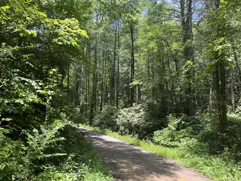 00 Tinker Br, Reliance, TN 37369
