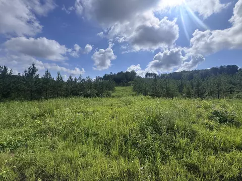 lot41 Three Point Rd, Madisonville, TN 37354
