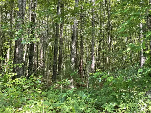 5 01 Acres County Road 285, Niota, TN 37826