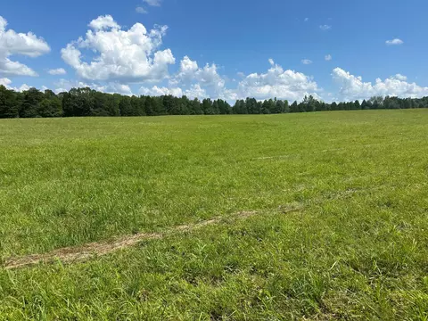 18 Mccabe Rd, Spring City, TN 37381