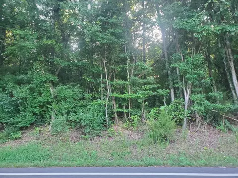 lot9 Highway 304, Decatur, TN 37322