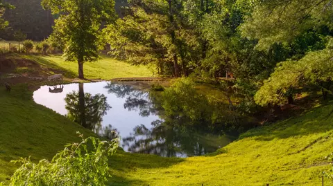 310 Moore Circle Rd NW, Charleston, TN 37310