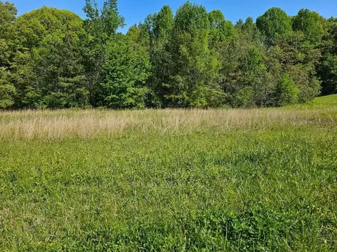 0 County Road 321 #LOT 7, Niota, TN 37826