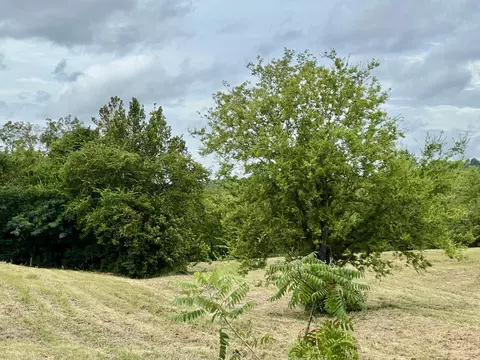 262 County Road 849, Etowah, TN 37331