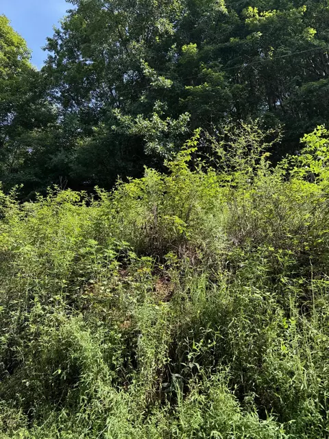 115 Hughes Hollow Rd, Philadelphia, TN 37846