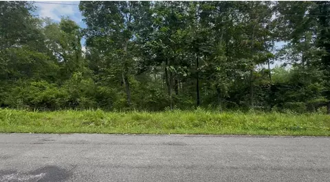 590 Ewing Rd, Spring City, TN 37381