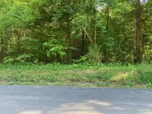 0 Horner Hollow Rd, Birchwood, TN 37308