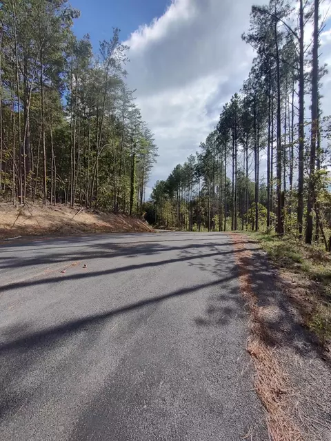 121 Polly Wally Rd, Ocoee, TN 37361 photo 26