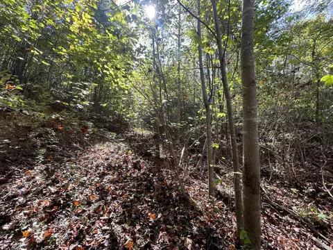 567 Beatys Chapel Rd, Tellico Plains, TN 37385