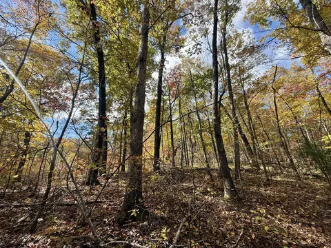 lot77 78 Red Oak Ln, Spring City, TN 37381