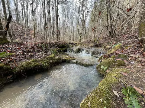 1500 N Guinn Narrows Rd, Decatur, TN 37322
