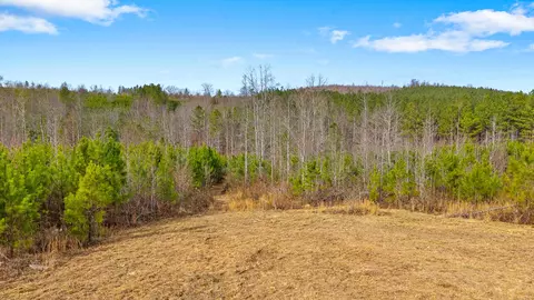 000 Redman Ln, Decatur, TN 37322