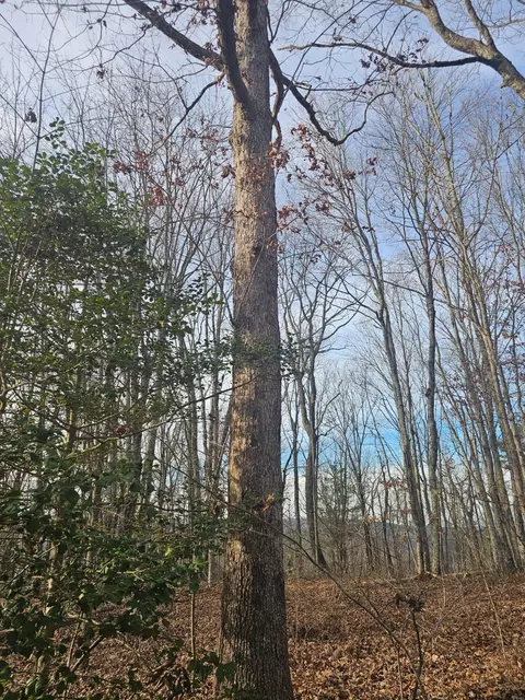 Other - 029 003 Smith Mtn, Dunlap, TN 37327 photo 1 of 18