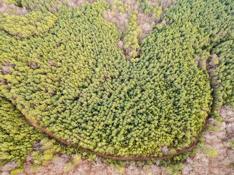 Other - 029 003 Smith Mtn, Dunlap, TN 37327 photo 11 of 18
