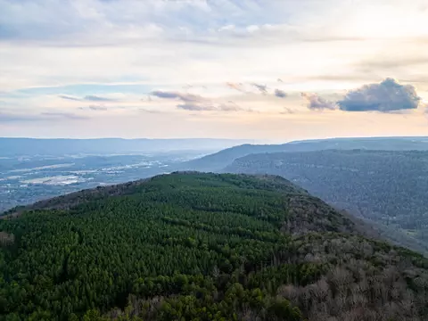 View/Area - 029 003 Smith Mtn, Dunlap, TN 37327 photo 4 of 18