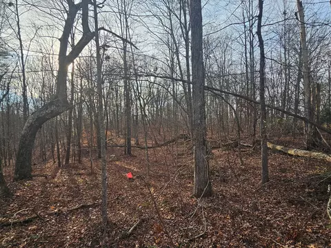 Exterior - 029 003 Smith Mtn, Dunlap, TN 37327 photo 3 of 7