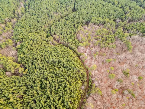 Other - 029 003 Smith Mtn, Dunlap, TN 37327 photo 4 of 18