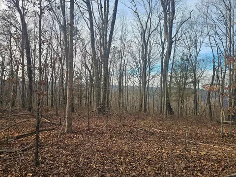 Exterior - 029 003 Smith Mtn, Dunlap, TN 37327 photo 4 of 7