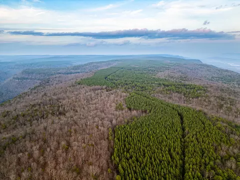 View/Area - 029 003 Smith Mtn, Dunlap, TN 37327 photo 12 of 18