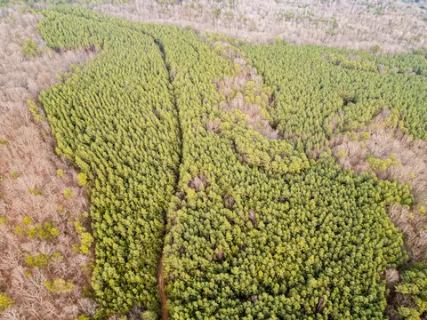 Other - 029 003 Smith Mtn, Dunlap, TN 37327 photo 10 of 18