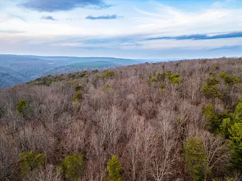 Other - 029 003 Smith Mtn, Dunlap, TN 37327 photo 17 of 18