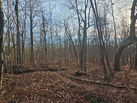 Exterior - 029 003 Smith Mtn, Dunlap, TN 37327 photo 5 of 7