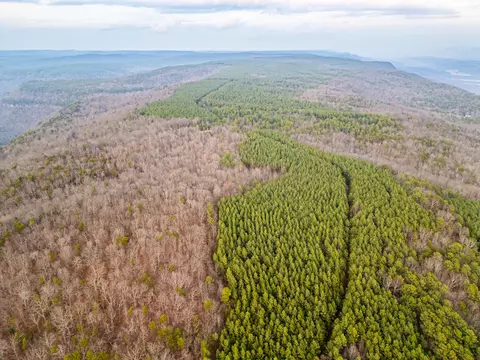 View/Area - 029 003 Smith Mtn, Dunlap, TN 37327 photo 9 of 18