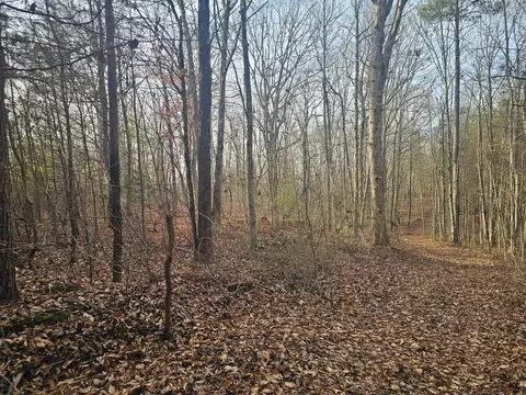 Exterior - 029 003 Smith Mtn, Dunlap, TN 37327 photo 7 of 7