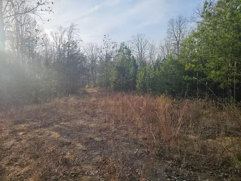 Exterior - 029 003 Smith Mtn, Dunlap, TN 37327 photo 6 of 7