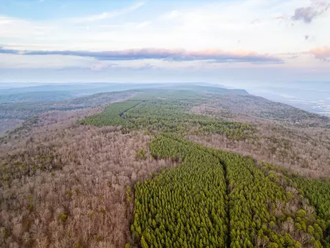 View/Area - 029 003 Smith Mtn, Dunlap, TN 37327 photo 10 of 18