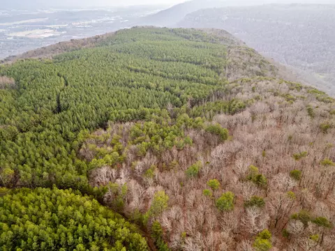 Other - 029 003 Smith Mtn, Dunlap, TN 37327 photo 2 of 18
