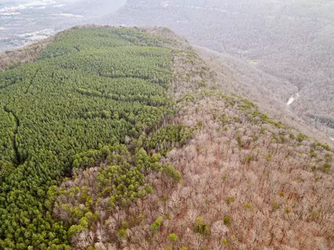 Other - 029 003 Smith Mtn, Dunlap, TN 37327 photo 6 of 18