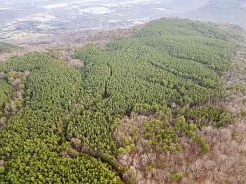 Other - 029 003 Smith Mtn, Dunlap, TN 37327 photo 7 of 18