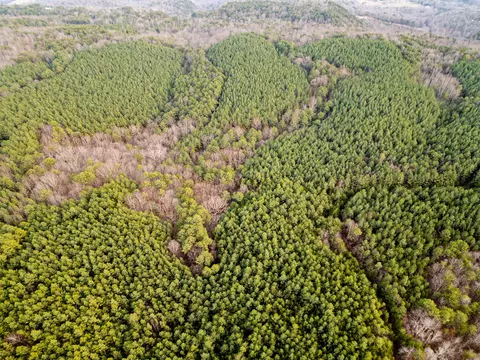 Other - 029 003 Smith Mtn, Dunlap, TN 37327 photo 9 of 18