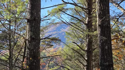 000 Tumbling Creek Rd, Copperhill, TN 37317