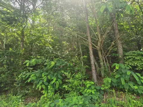 3312 Ridgeway Dr NW, Cleveland, TN 37312