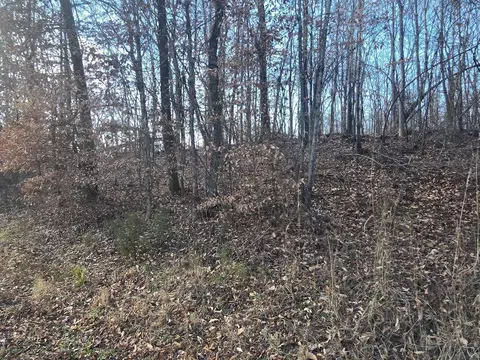 lot15 River Rd, Decatur, TN 37322