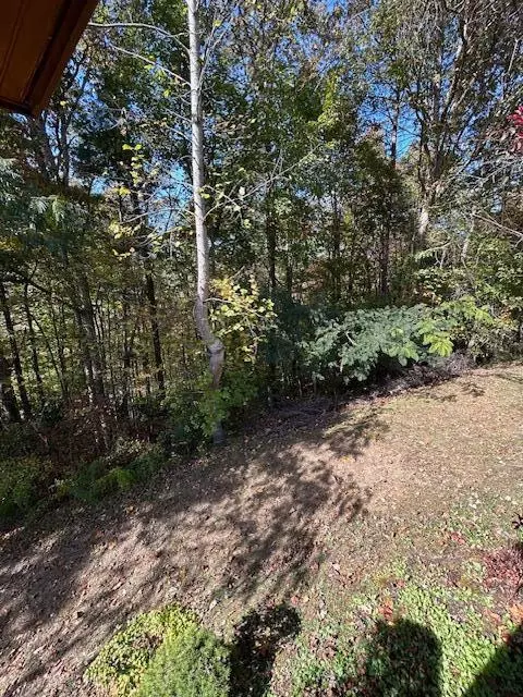 219 Womble Rd, Farner, TN 37333 photo 17
